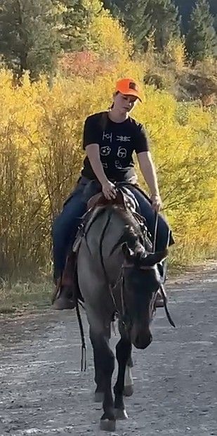 Rider on horseback in fall mountain setting